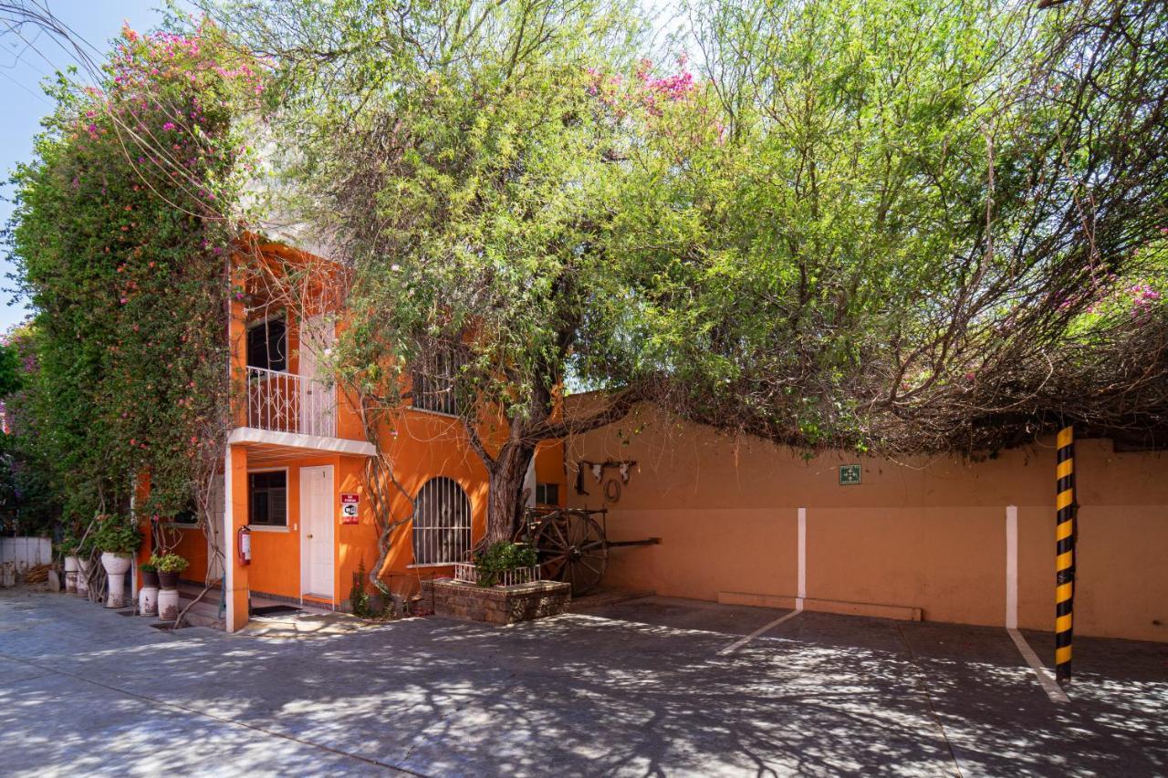 Hotel Posada Bugambilias سان لويس بوتوسي المظهر الخارجي الصورة