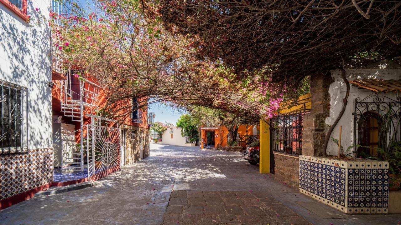 Hotel Posada Bugambilias سان لويس بوتوسي المظهر الخارجي الصورة