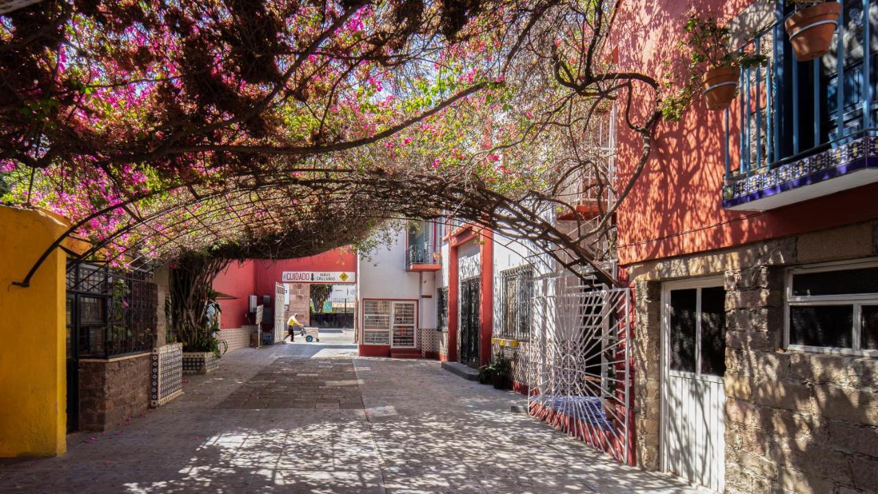 Hotel Posada Bugambilias سان لويس بوتوسي المظهر الخارجي الصورة