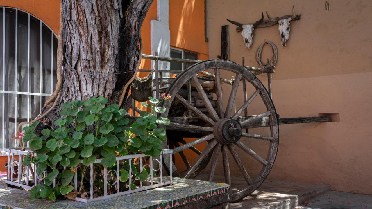 Hotel Posada Bugambilias سان لويس بوتوسي المظهر الخارجي الصورة