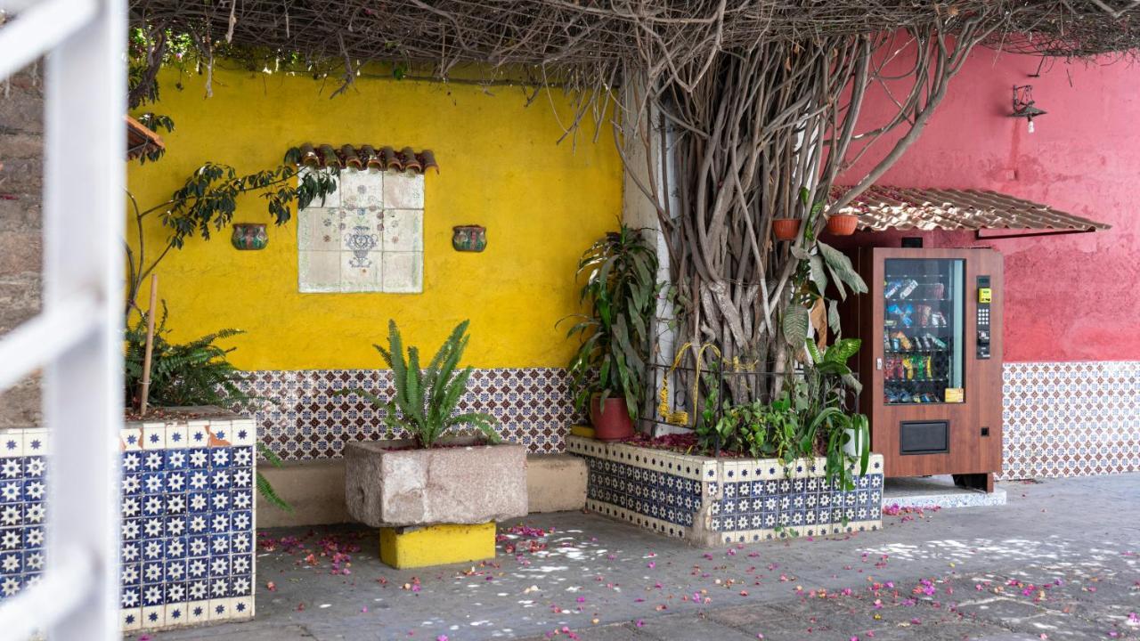 Hotel Posada Bugambilias سان لويس بوتوسي المظهر الخارجي الصورة
