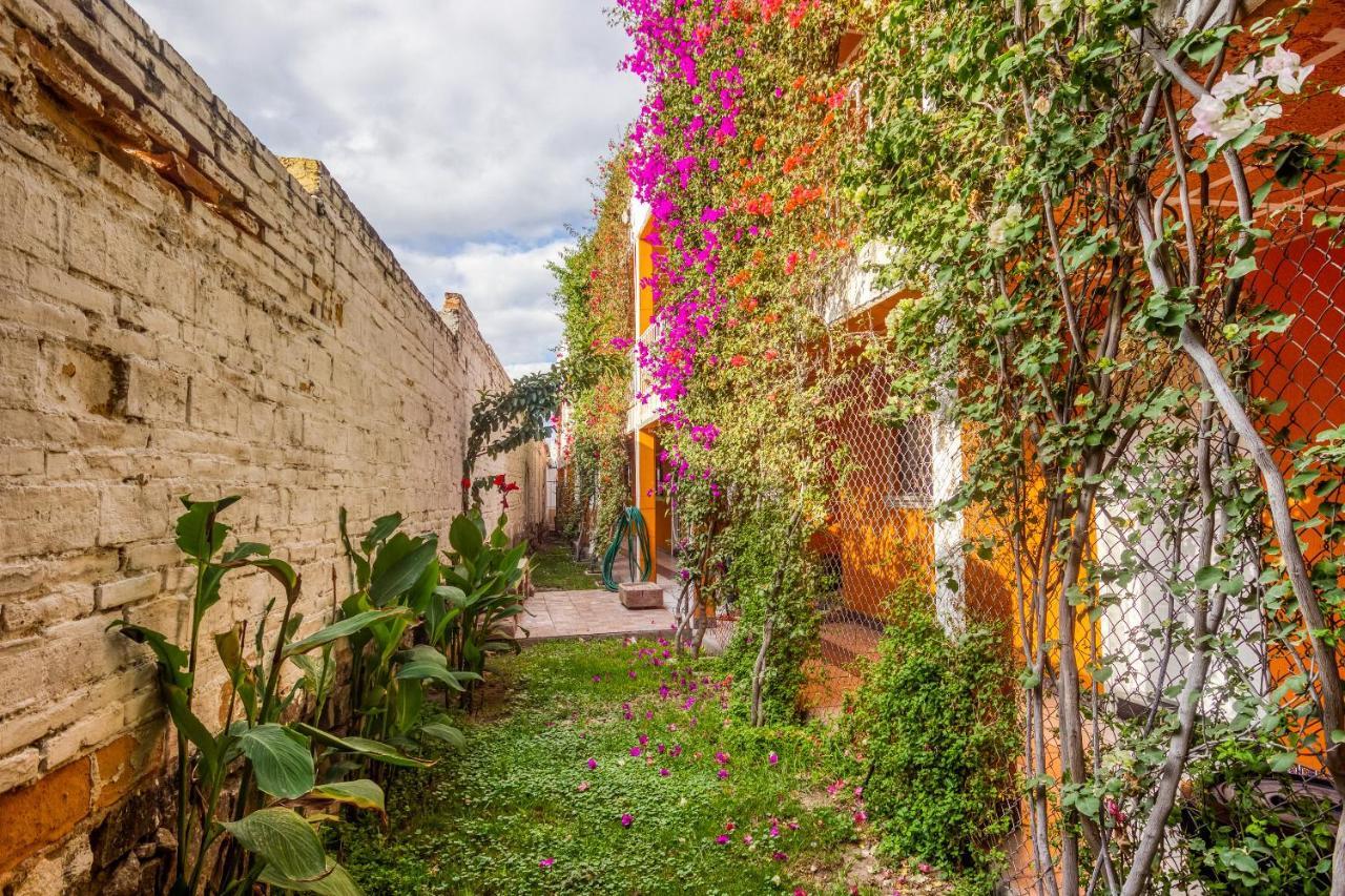 Hotel Posada Bugambilias سان لويس بوتوسي المظهر الخارجي الصورة